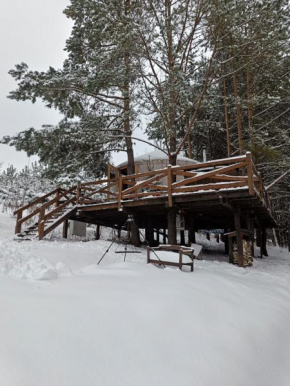 Jurty z widokiem, prywatna balia- DZIKOLAS GLAMPING